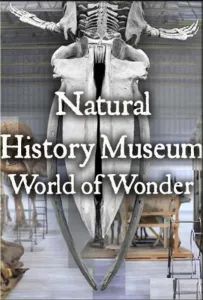 Natural History Museum: World of Wonder (сериал 2021)